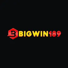 BIGWIN189 - Permainan QiuQiu Seru dan Menarik
